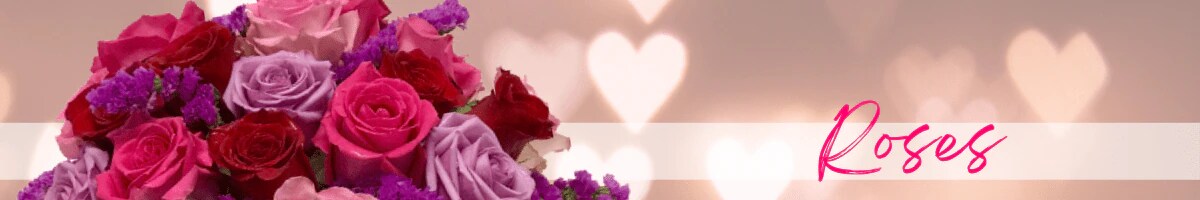 Roses